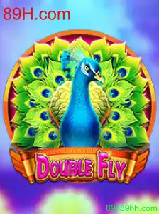 Explorando o Mundo de DoubleFly: Uma Jornada no Universo de 89H.com